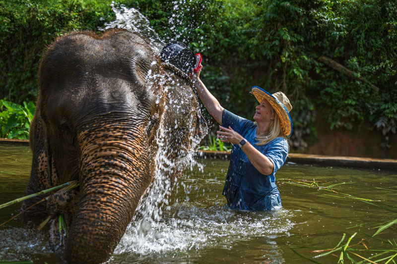 Sarah Washing Elephant