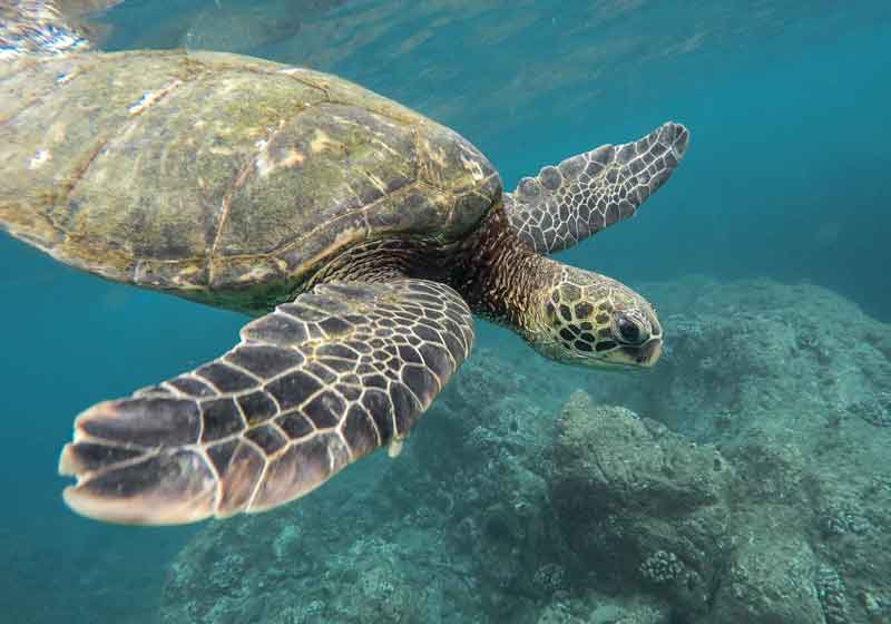 Dry Tortugas National Park