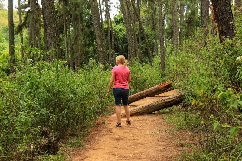 Sarah Walking Back
