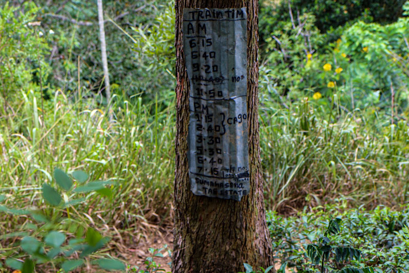 Time Table