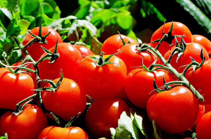 market tomatoes
